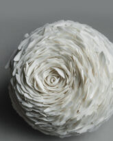Winter Rose III, 2024
