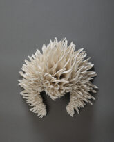 Teasel Wall Piece V