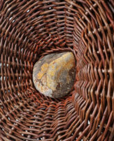Reclining Pod with Lichen-Marked Stone