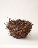 Larch Nest