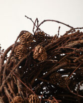 Larch Nest