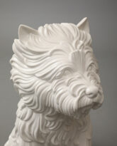 Puppy, 1998