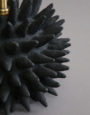 BlackSeaUrchin