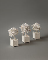Trio of Citrus Trees, 2025