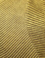Current Series, no. 4