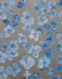 FallingFlora