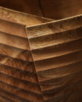 Fuinseog (Diptych #206), 2025