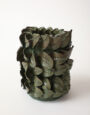 GustGreen_2025.1