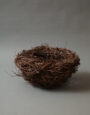 LargeLarchNest