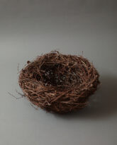Large Larch Nest, 2026