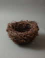 LargeLarchNest