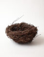 LargeLarchNest