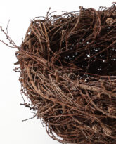 Large Larch Nest, 2025