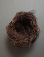 LargeWildHeatherNest