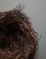 LargeWildHeatherNest