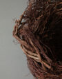 LargeWildHeatherNest