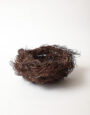 LargeWildHeatherNest
