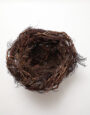 LargeWildHeatherNest
