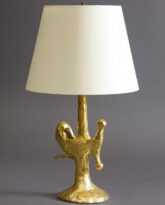 Navicula Lamp