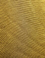 Quarter Shell in Gold