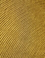 Quarter Shell in Gold