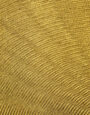 Quarter Shell in Gold