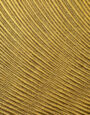Ripples