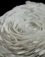 WinterRoseII