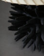 Urchin Black