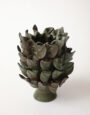 WindflowerGreen_2025.1