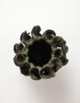 WindflowerGreen_2025.1