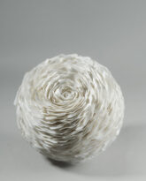 Winter Rose II, 2024