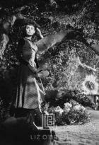 Audrey Hepburn Under Tree, Turns, 1953