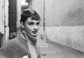 Audrey Hepburn in Grey Turtleneck Sweater, Glances Right, Lips Parted, 1953