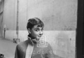 Audrey Hepburn in Grey Turtleneck Sweater, Head Left, Raised Eyebrows, 1953