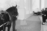 Kennedy, Funeral, Riderless Horse with Backwards Boot, 1963