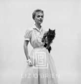 Model with Grey Persian Cat, 1954
