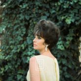Elizabeth Taylor in Yellow Chiffon, Looks Away, 1961