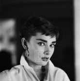 Audrey Hepburn White Shirt Portrait, Glances Right, 1954