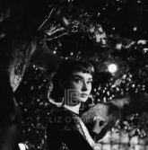 Audrey Hepburn Under Tree, Close, 1953